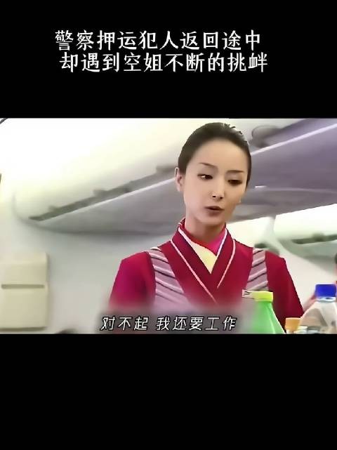 警察押运犯人返回途中，却遇到空姐不断的挑衅！