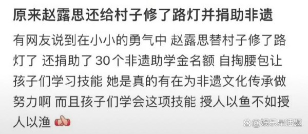 赵露思给村子修路灯：顶流小花的灯暖人心行动藏了多少故事？