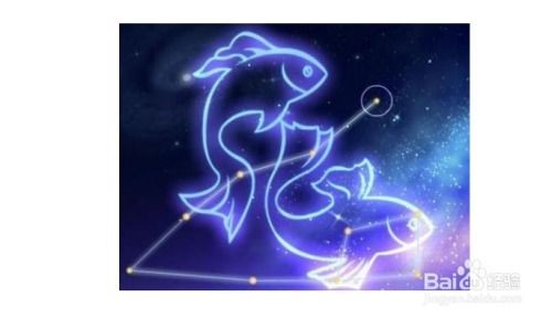 12星座分别和哪个星座最配对