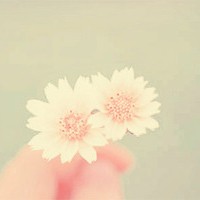 嫦娥不嫁谁留
