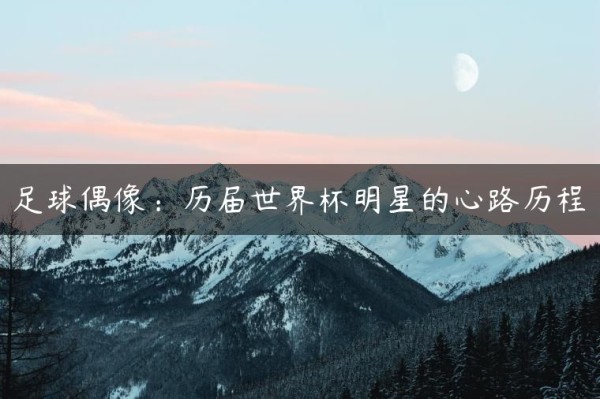 足球偶像：历届世界杯明星的心路历程