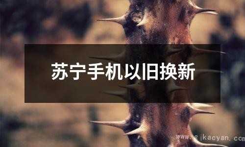 苏可杨洋大婚盛况如何？介绍婚礼细节