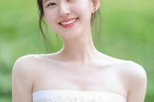 赵露思为何无戏可拍?95花竞争与市场转型分析