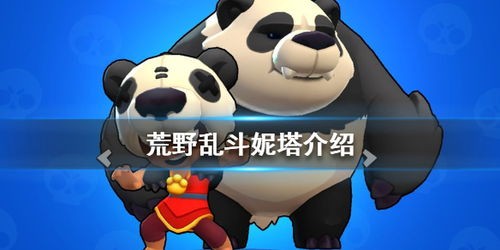 熊暴尼,揭秘神秘生物的传奇故事