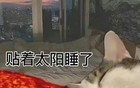有变！台风要折返广东！广州将迎大暴雨