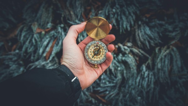 探索明星之美，黄金分割的奥秘