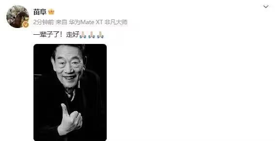 杨少华儿子杨议演出已暂停