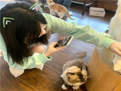 桥本香菜vlog,桥本香菜Vlog展现明星日常生活-2