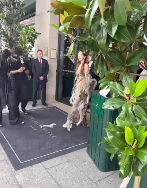Angelababy巴黎街头生图引热议，樱花妹狂赞神颜