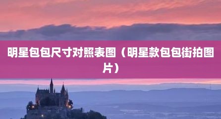 明星包包尺寸对照表图（明星款包包街拍图片）