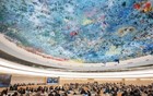 决议通过，多国向中国表达祝贺！
