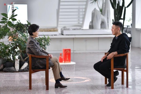 《杨澜访谈录》对话马岩松：建筑师既是理想主义者也是现实主义者