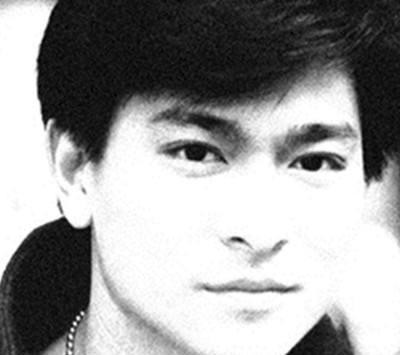 英雄无暮年，追爱刘德华！