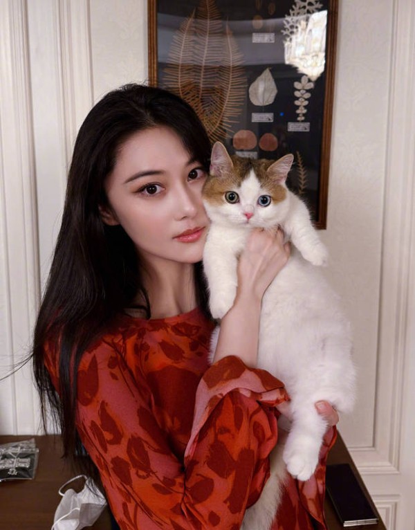 张馨予晒居家随拍，抱猫合影温馨又养眼