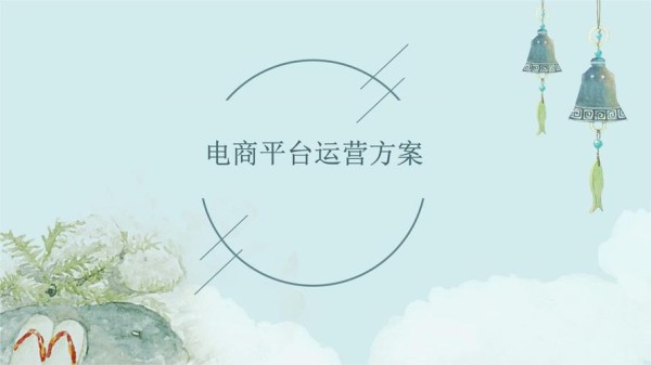 明星电商运营,明星电商运营方案