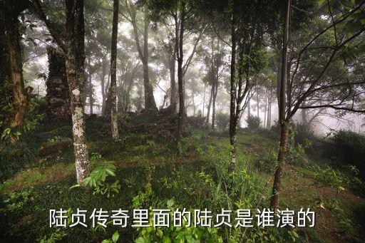 陆贞传奇里面的陆贞是谁演的