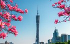倔强5：给老黄帮忙，加代不找叶三哥