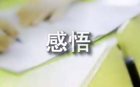 80后的人生感悟（精选10篇）