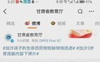 愚蠢透顶、隐瞒真相、装瞎装聋
