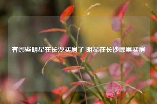 有哪些明星在长沙买房了 明星在长沙哪里买房