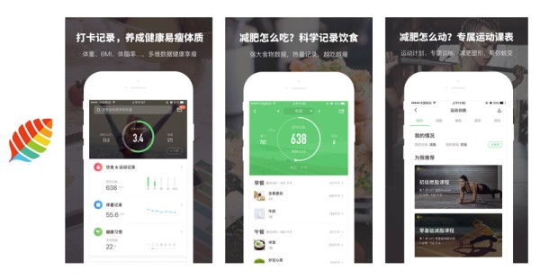 薄荷健康除了提供運動課表，也有很好的飲食觀念和運動觀念，雙管齊下幫助您達成訓練目標