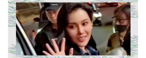 跨越时代的见证：明星与网红的融合新势力