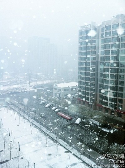 DL组合晒高空俯拍雪景照