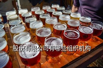 股份有限公司有哪些组织机构