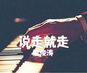 廖俊涛《说走就走》G调吉他谱