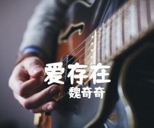 魏奇奇《爱存在》C调吉他谱
