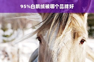 探究赵丽颖春晚服装品牌—揭秘春晚舞台上的时尚印记