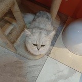 魔法世界