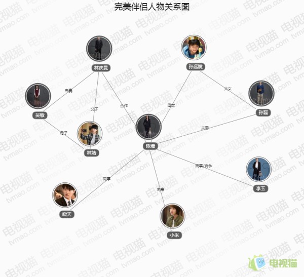 完美伴侣人物关系图