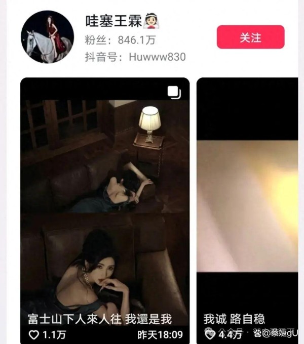 盘点2024年河南省十大网红