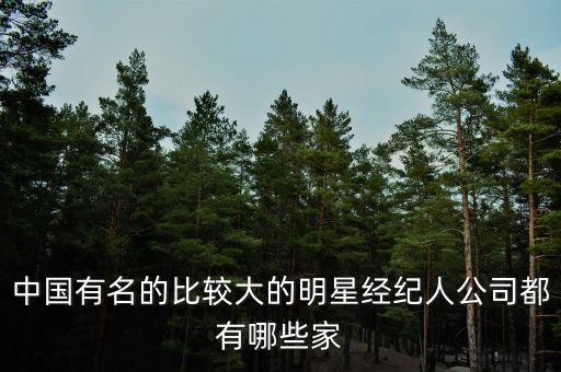 中国有名的比较大的明星经纪人公司都有哪些家
