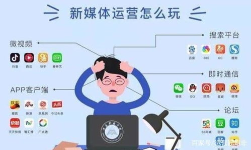 传媒可以干什么