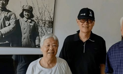 饭圈fw指什么