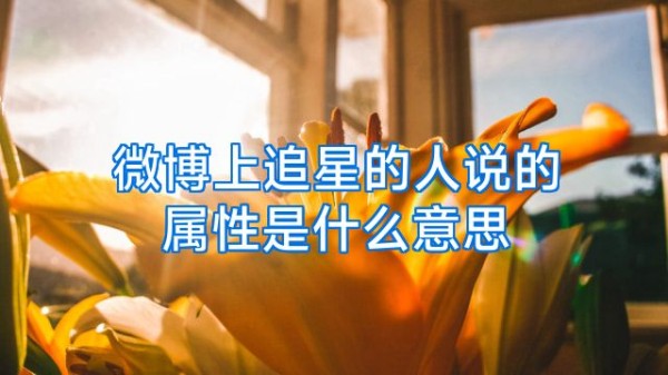 微博上追星的人说的属性是什么意思