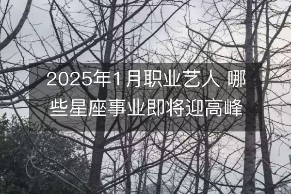 2025年1月职业艺人 哪些星座事业即将迎高峰