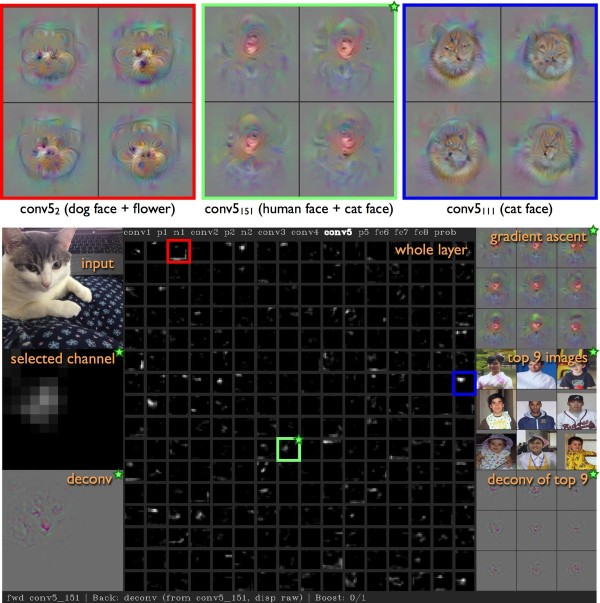 Screenshot of Deep Visualization Toolbox