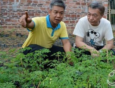 娱乐圈艺人转行做起“蛋”各种职业的明星