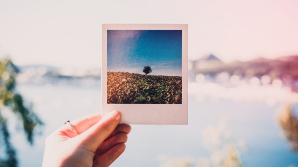 照片 Photo