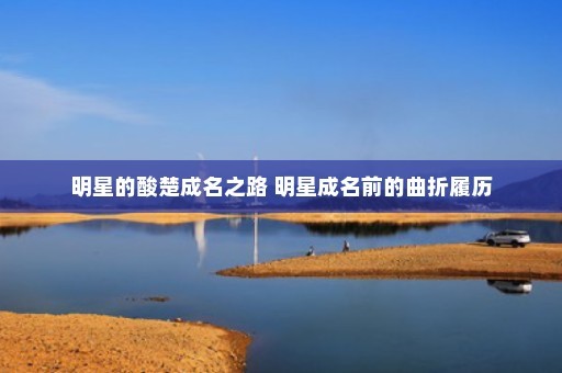 明星的酸楚成名之路 明星成名前的曲折履历