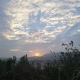滴粒糖