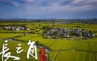 欠税上亿还向股东大额转账，浙江一房地产公司被查
