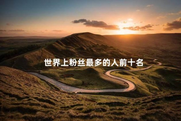 世界上粉丝最多的人前十名