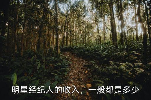 明星经纪人的收入，一般都是多少