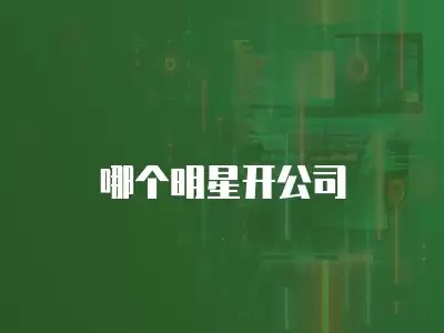 哪个明星开公司