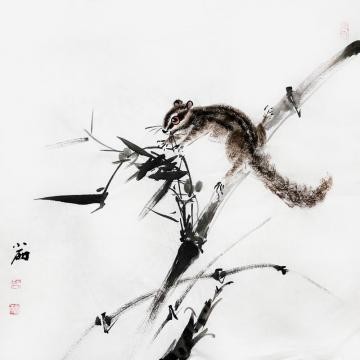 周小雨国画花鸟雅趣图字画之家