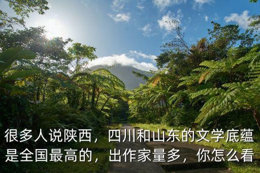 很多人说陕西，四川和山东的文学底蕴是全国最高的，出作家量多，你怎么看